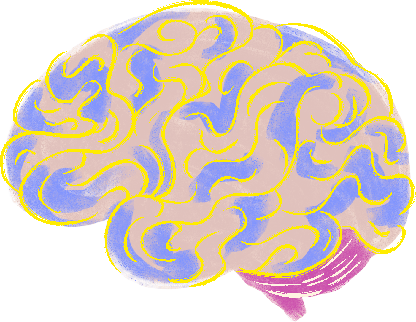 Colorful illustration of a brain